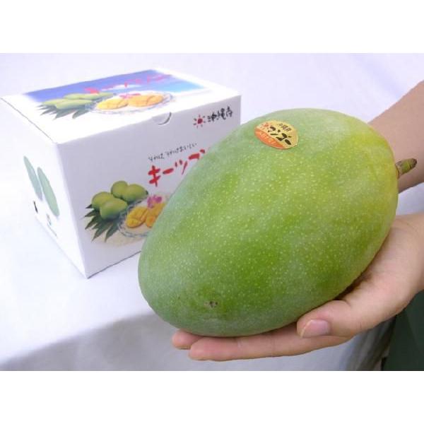 沖縄産 ”キーツマンゴー” 秀品 超大玉 約700g〜1kg 化粧箱【予約 8月