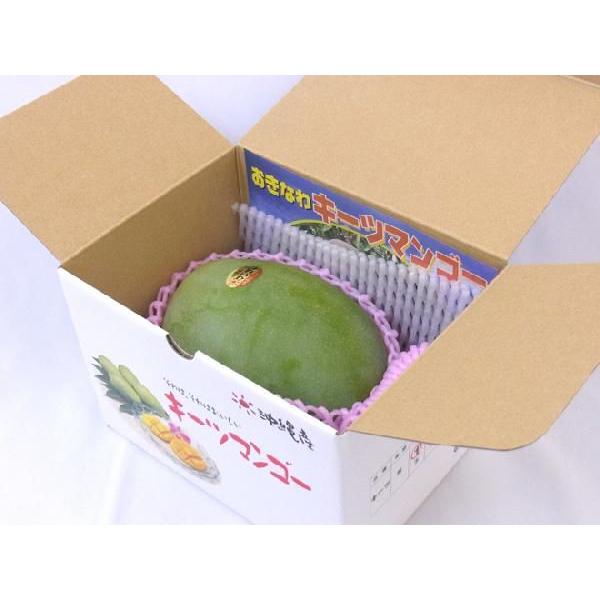 沖縄産 ”キーツマンゴー” 秀品 超大玉 約700g〜1kg 化粧箱【予約 8月