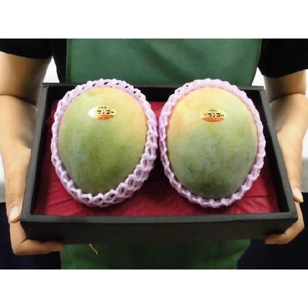 沖縄産 ”キーツマンゴー” 秀品 2玉 約1.2kg 化粧箱入り【予約 8月中旬