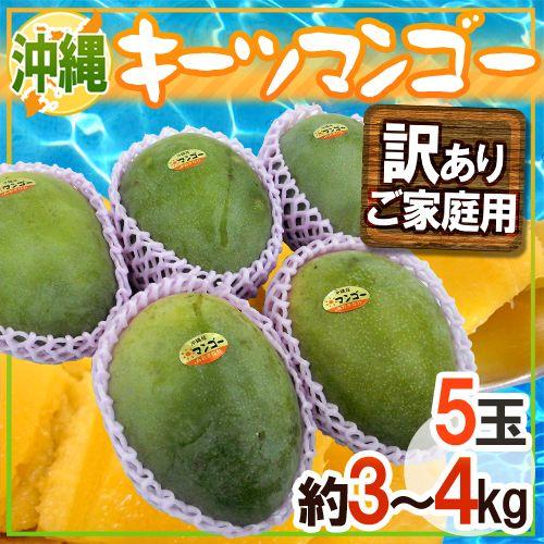 沖縄産 ”キーツマンゴー” 訳あり 5玉 約3〜4kg【予約 8月中旬以降