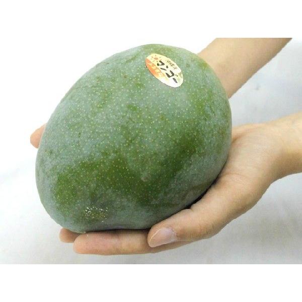 沖縄産 ”キーツマンゴー” 訳あり 5玉 約3〜4kg【予約 8月中旬以降