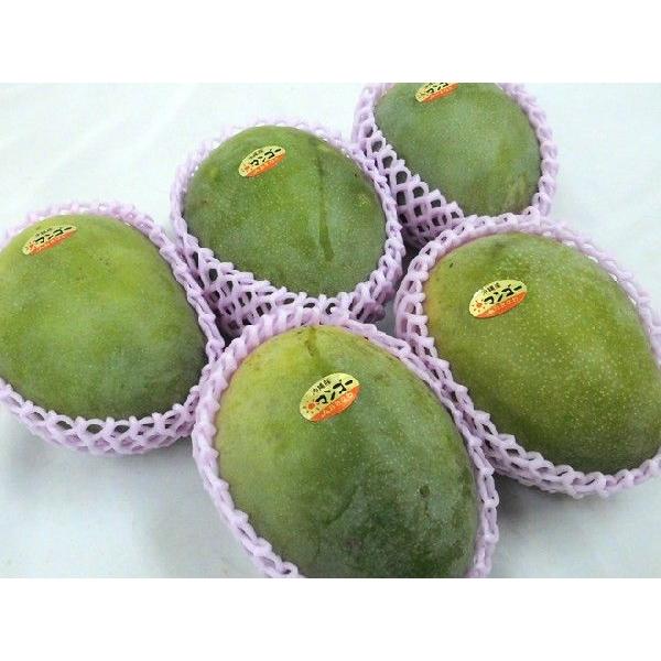 沖縄産 ”キーツマンゴー” 訳あり 5玉 約3〜4kg【予約 8月中旬以降