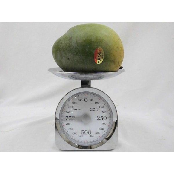 沖縄産 ”キーツマンゴー” 訳あり 5玉 約3〜4kg【予約 8月中旬以降