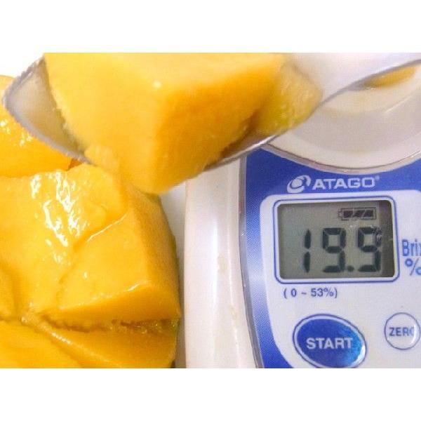 沖縄産 ”キーツマンゴー” 訳あり 5玉 約3〜4kg【予約 8月中旬以降