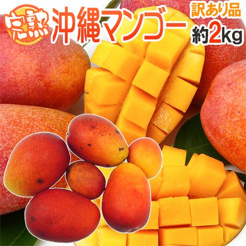 沖縄産 完熟マンゴー” 訳あり 3〜8玉前後 約2kg 沖縄マンゴー【予約 7