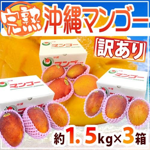 超熱 沖縄産 ”完熟マンゴー” 訳あり 約1.5kg×《3箱》 9〜15玉前後 産地