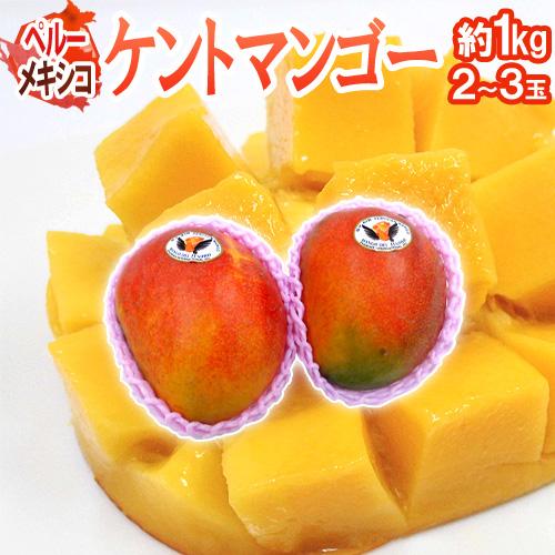 ペルー・メキシコ産 ケントマンゴー” 大玉2〜3玉前後 約1kg 航空便