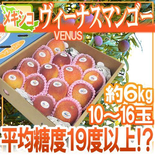 メキシコ産 ”ヴィーナスマンゴー” 大玉10〜16玉 約5〜6kg 航空便
