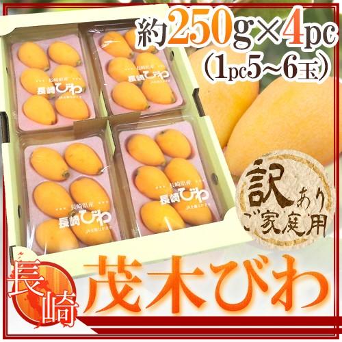 長崎県 ”茂木びわ” 訳あり 大玉L/2Lサイズ 約250g×4pc（約1kg）【予約 3月下旬以降】 送料無料（Yahoo!・くらし快援隊）
