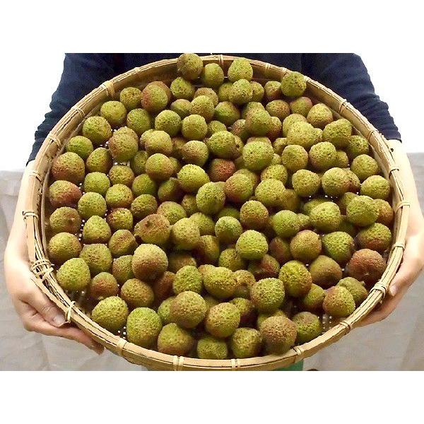 生グリーンライチ 妃子笑（ひししょう）” 約4kg 中国産 レイシ 茘枝