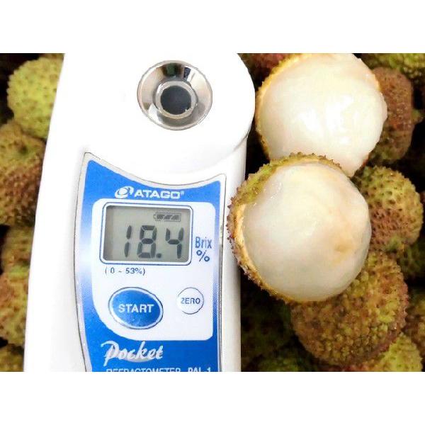 生グリーンライチ 妃子笑（ひししょう）” 約4kg 中国産 レイシ 茘枝