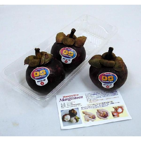 タイ産 マンゴスチン” M〜L 6〜8玉前後 約500g【予約 4月以降】 送料