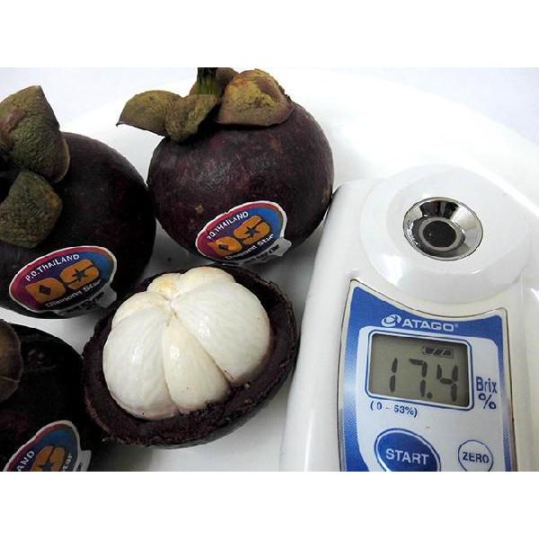 タイ産 ”マンゴスチン” M〜L 24〜36玉前後 約2〜2.5kg【予約 4月以降