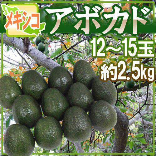 メキシコ産 ”アボカド” 12〜15玉 約2.5kg 送料無料 : くらし快援隊