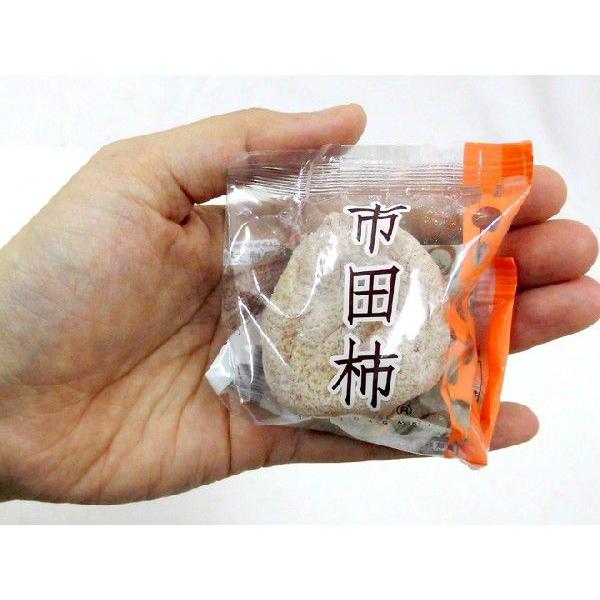 長野・南信州産 ”市田柿” 10玉 約280g 化粧箱 個包装【予約 12月以降
