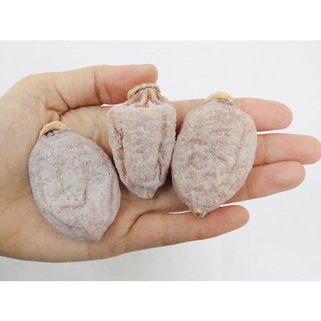 長野・南信州産 市田柿” L〜3L 約3kg【予約 12月中旬以降】 送料無料