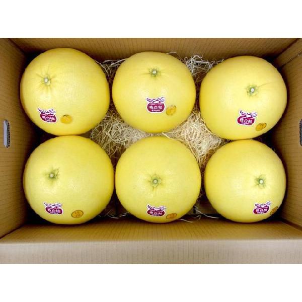 熊本県八代特産 ”晩白柚” ばんぺいゆ 秀品 Lサイズ 6玉 約10kg 化粧箱