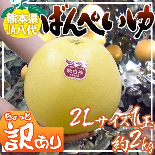 ゆ*ゆ様 【早い者勝ち！】訳あり　国産　晩白柚　バンペイユ　まとめ売り 熊本県八代特産 晩白柚” ばんぺいゆ ちょっと訳あり 大玉2Lサイズ 約