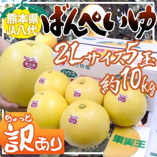 熊本県八代特産 ”晩白柚” ばんぺいゆ ちょっと訳あり 2Lサイズ 5玉 約10kg 無印【予約 12月以降】 送料無料