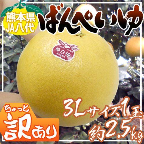晩白柚☆様×4 顔よりデカい！ 重さ5キロ超の晩白柚、ギネス認定 八代の農家収穫