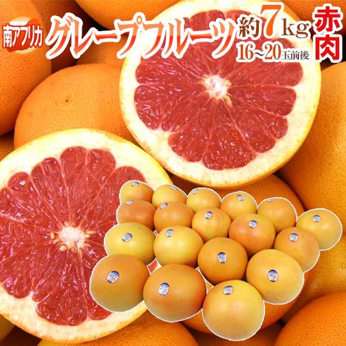 爆買い送料無料 南アフリカ産 グレープフルーツ ルビー 大玉16 18玉前後 約7kg