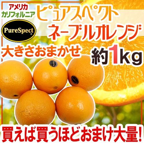 プレミアムネーブルオレンジ ピュアスペクト 約1kg 大きさおまかせ 2kg購入で1kg 3kgで2kg 5kgで5kg 7kgで10kgおまけ 予約 1月下旬以降 送料無料 Ps Ons1kg くらし快援隊 通販 Yahoo ショッピング