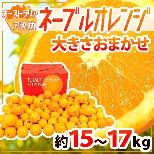 ネーブルオレンジ” 約15〜17kg 大きさおまかせ アメリカ ネーブルオレンジ” 約15〜17kg 大きさおまかせ アメリカ