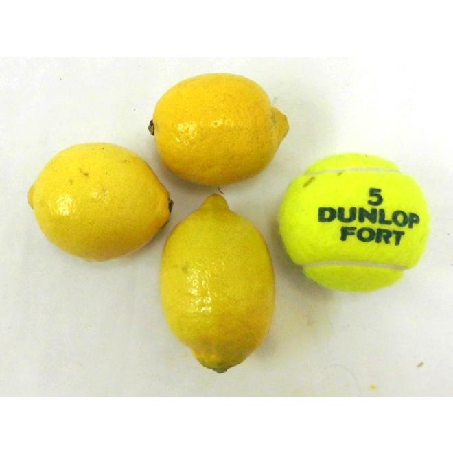 リピ　ラスクレモンボトル2本　ホームケアは塗るだけでOK! 楽天市場】ROOTS RUNNY BOTTLE ラニーボトル 先端ノズル付き