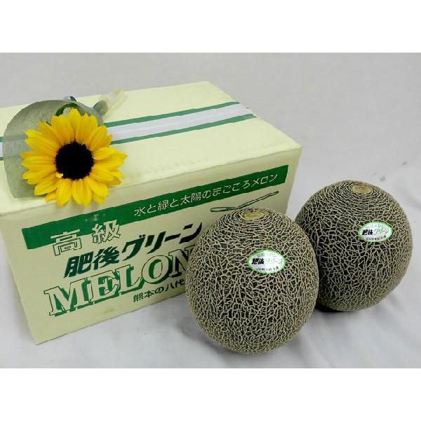 父の日ギフト &rdquo;肥後グリーンメロン&rdquo; 秀品 2玉 約3〜4kg＋ひまわり生花1本【予約 6月8〜15日お届け予定】 送料無料