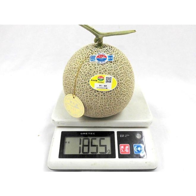 遅れてごめんね!父の日ギフト ”マスクメロン” 黄色バラ造花付き くまモン化粧箱 1玉 約1.5kg以上 熊本産【予約 6月20日以降】 送料無料|kurashi-kaientai|03
