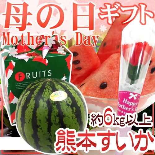 https://item-shopping.c.yimg.jp/i/n/kurashi-kaientai_2088043-mother-gklz