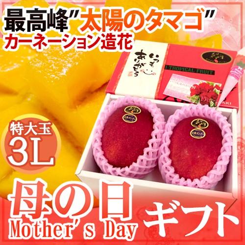母の日ギフト 宮崎マンゴー ”太陽のタマゴ” 特大玉3L×2玉とカーネーション造花セット 産地化粧箱入り【予約 5月2日〜5月10日お届け予定】