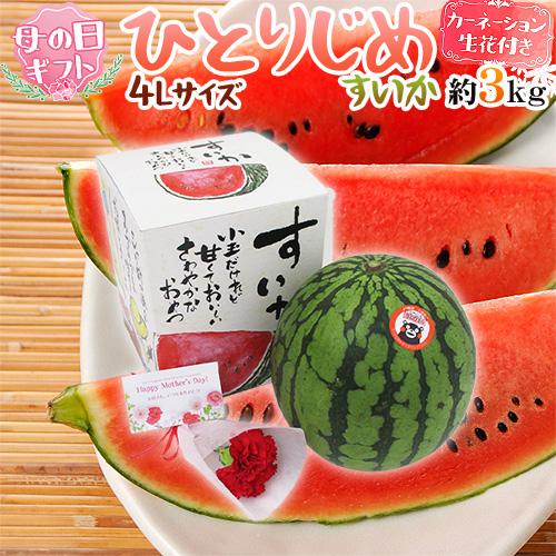 https://item-shopping.c.yimg.jp/i/n/kurashi-kaientai_2088048-mother-g4l