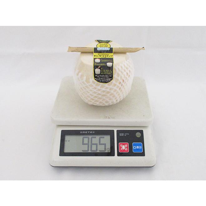 ベトナム産 ”ヤングココナッツ” 12個 ヤシの実/椰子の実【予約