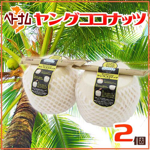 ベトナム産 ”ヤングココナッツ” 2個 ヤシの実/椰子の実【予約 入荷次第