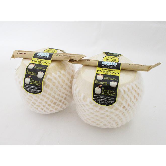 プッシュ式！！！ベトナム ヤングココナッツ 2箱 　（18玉入/箱）　約20KG ベトナム産 ”ヤングココナッツ” 2個 ヤシの実/椰子の実【予約 入荷次第