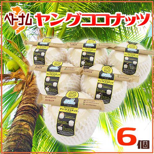 ベトナム産 ”ヤングココナッツ” 6個 ヤシの実/椰子の実【予約 入荷次第
