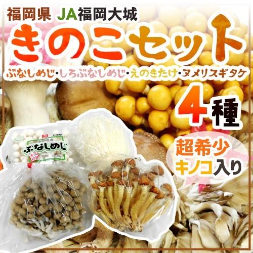 送料無料 Ja福岡大城 きのこ4種セット ブナシメジ ホワイトブナシメジ エノキタケ ヌメリスギタケ 予約 順次発送 産地直送 Kinoko4 くらし快援隊 通販 Yahoo ショッピング