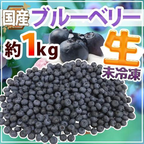 国産ブルーベリー” 約1kg 産地厳選 生ブルーベリー【予約 6月中旬以降