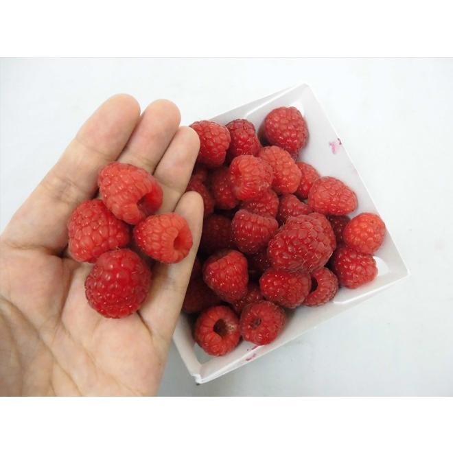 アメリカ・メキシコ産 ”ラズベリー” パック入り 約150g : くらし快援隊