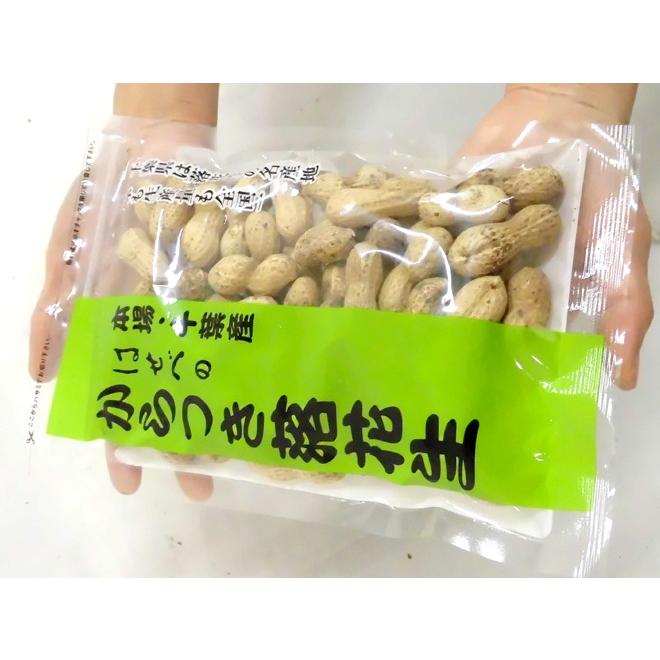 千葉産 ”はせべ からつき落花生” 110g×2袋 国産 ピーナッツ【ポスト