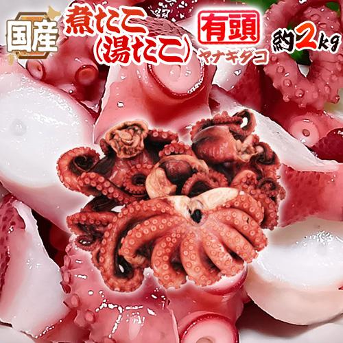国産 ”煮たこ(湯たこ) ヤナギダコ” 約2kg 大きさおまかせ【予約 入荷
