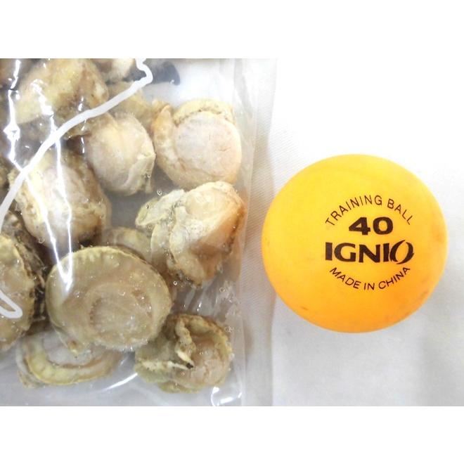 北海道・青森 ”ボイルベビーほたて” S/SSサイズ 約1kg×《10袋》（合計