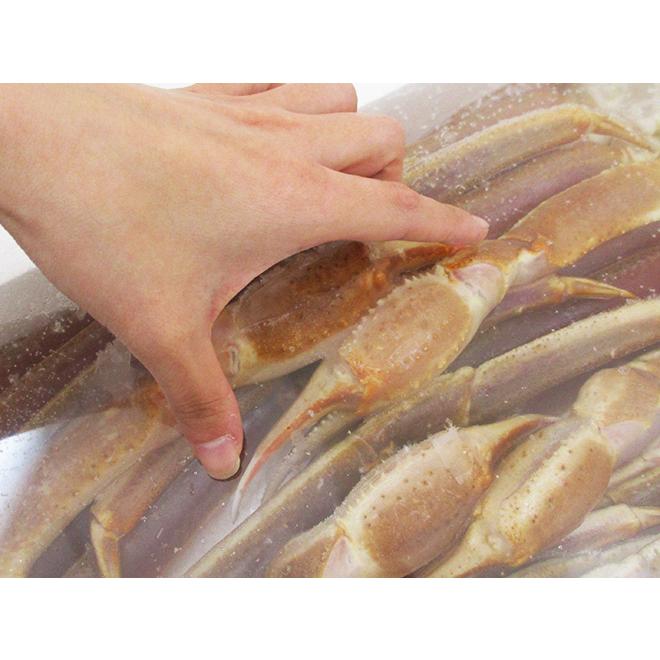 ロシア産 冷凍 ”生ズワイガニ” 4L 6肩 約2kg ズワイ蟹 送料無料 ロシア産 冷凍 ”生ズワイガニ” 4L 6肩 約2kg ズワイ蟹 送料無料