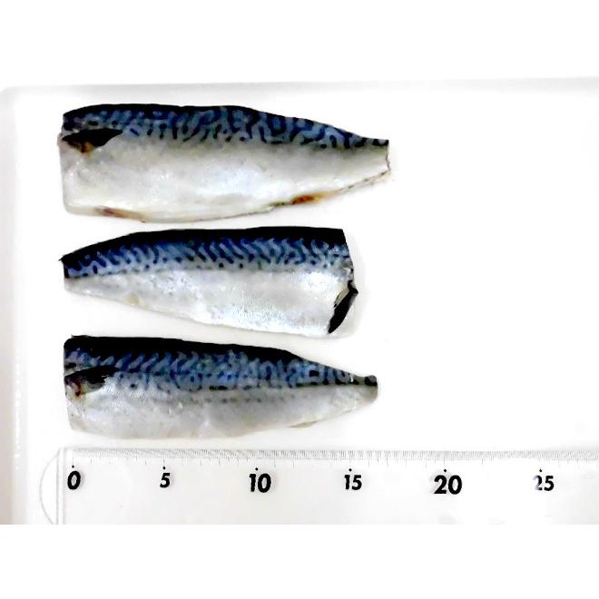 国産 ”塩鯖フィレ” 訳あり 約10kg 大きさおまかせ 三枚おろし サバ 送料無料｜kurashi-kaientai｜04