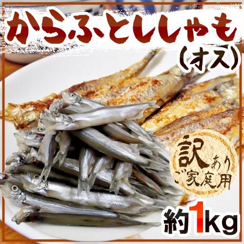 ”カラフトししゃも（オス）” 約1kg 訳あり カラフトシシャモ/樺太ししゃも 送料無料｜kurashi-kaientai