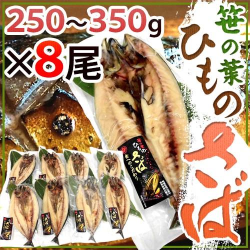 【60％OFF】 35％OFF ”笹の葉ひもの さば” 約250〜350g×8尾 鯖の干物 送料無料 dhanbadnewspaper.in dhanbadnewspaper.in