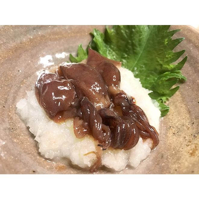富山県 川村水産 ”ほたるいか沖漬” 210g×《12瓶入り》 個別化粧箱入り 送料無料 :4061016-htrik-ok220g12:くらし快援隊 - 通販 - Yahoo!ショッピング 富山県 川村水産 ”ほたるいか沖漬” 210g×《12瓶入り》 個別化粧箱入り 送料無料 :4061016-htrik-ok220g12:くらし快援隊 - 通販 - Yahoo!ショッピング