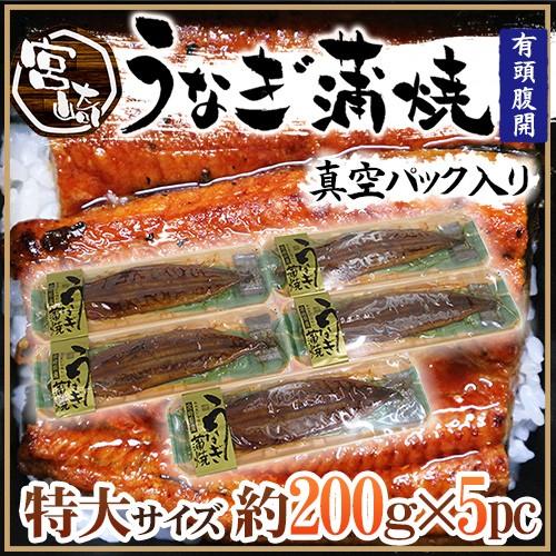 送料無料 宮崎県産 うなぎ蒲焼 約0g 5pc 真空パック入り 山椒 タレ付き ウナギ 鰻 頭有腹開 Unakaba1000g くらし快援隊 通販 Yahoo ショッピング