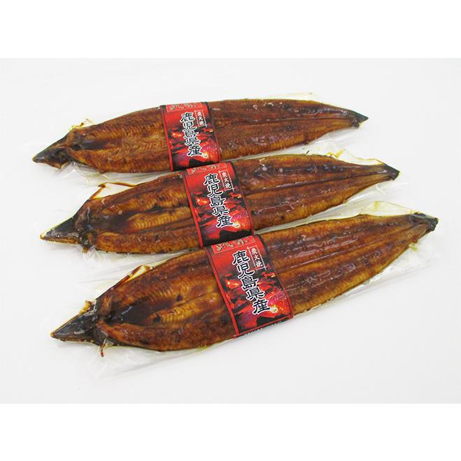 国産 ”うなぎ蒲焼” 約180g前後×3pc 真空パック入り 山椒・タレ付き